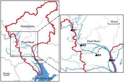 Inference of drowning sites using bacterial composition and random forest algorithm